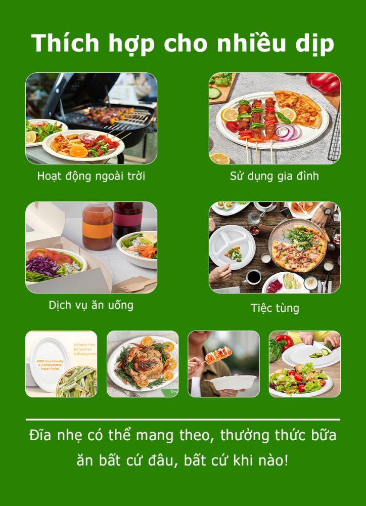 Đĩa bầu dục hữu cơ