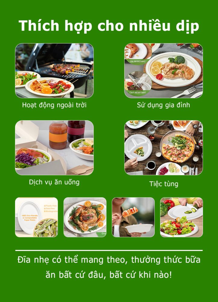 Đĩa bầu dục buffet