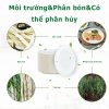 Đĩa bầu dục đựng mì