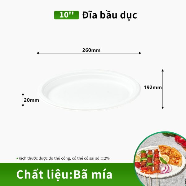 Đĩa elip nhẹ