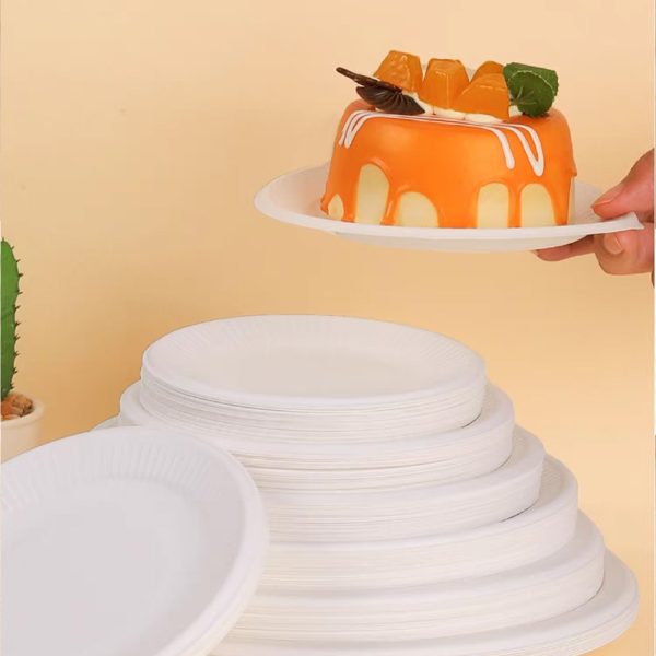 Đĩa giấy 7 inch