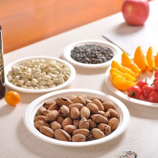 Đĩa mía bảo vệ môi trường