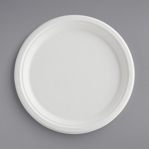 Đĩa mía food grade