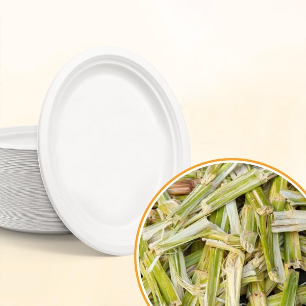 Đĩa oval đựng rau củ