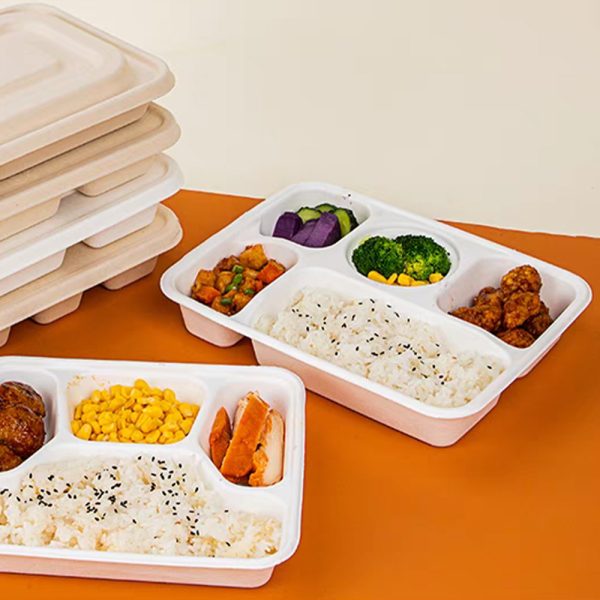 Hộp 5 ngăn bã mía