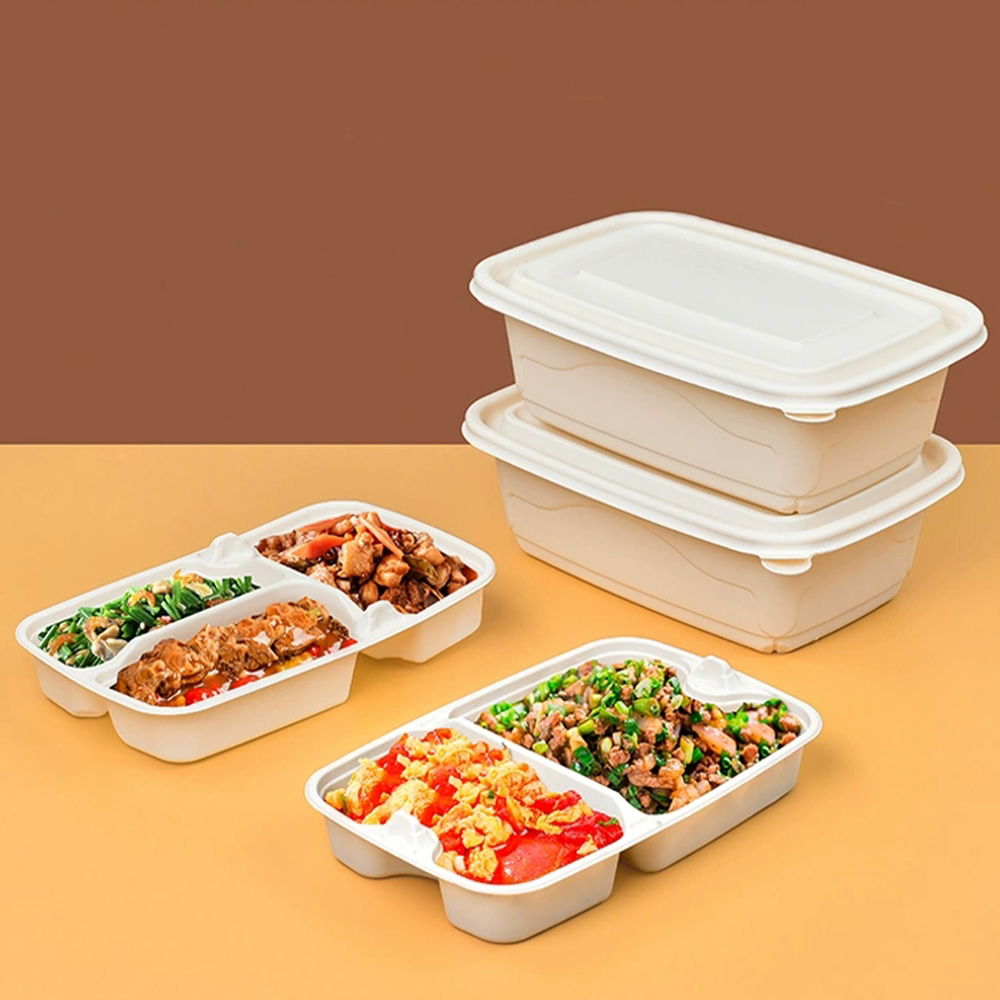 Nắp hộp 6 ngăn ép mía