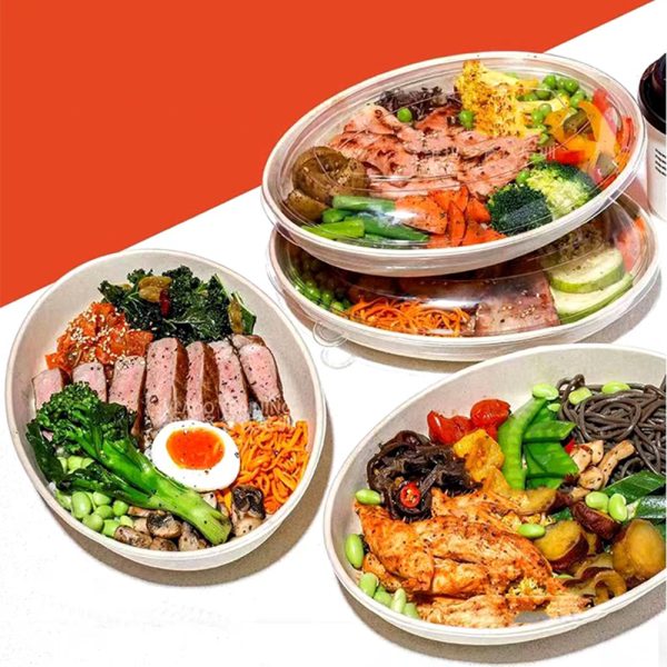 Tô tự hủy bã mía