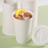 ly giấy 2 lớp dùng cho du lịch